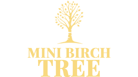 Mini Birch Tree